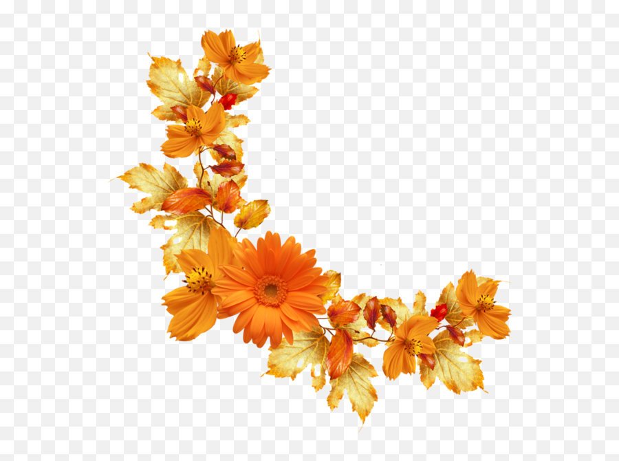 Orange Floral Border Png Image Background Png Arts Emoji,Orange Flower Emoji