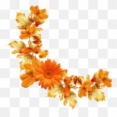 Orange Floral Border Png Image Background Png Arts Emoji,Orange Flower Emoji
