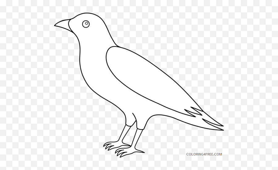 Raven 91 Png Printable Coloring4free - Outline Crow Clip Art Emoji,Raven Bird Emoji