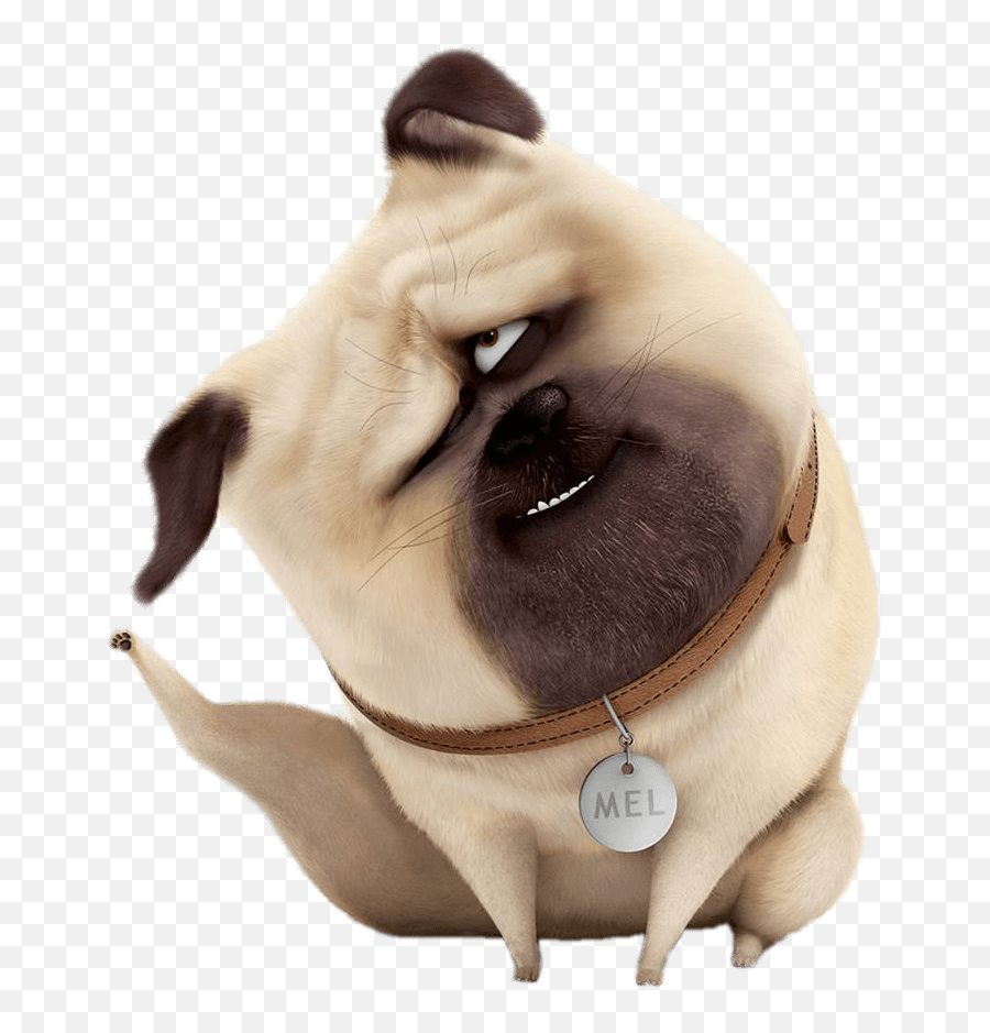 Willy Happy Pnglib U2013 Free Png Library - Secret Life Of Pets Mel Transparent Emoji,Emoji Movie Mel