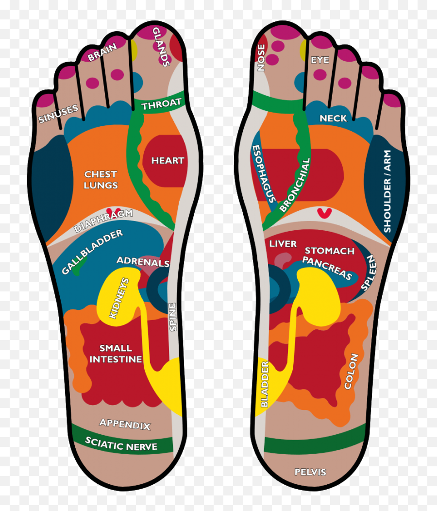 Conyers Wellness Center Services - Human Body In Foot Emoji,Reflexology Heel Emotions