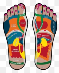 Conyers Wellness Center Services - Human Body In Foot Emoji,Reflexology Heel Emotions
