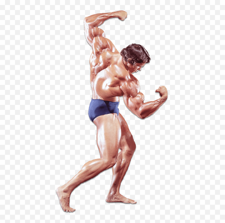 Arnold Schwarzenegger U2013 History Of Bodybuilding - Arnold Schwarzenegger Bodybuilding Png Emoji,Schwarzenegger Is Not An Emotion