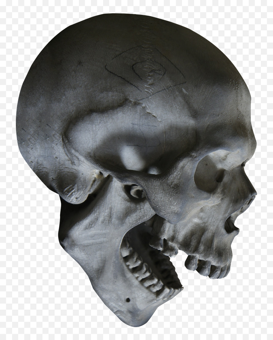 27 Skulls Ideas In 2021 - Skeleton Skull Emoji,Skulls Emotions Reference Drawing