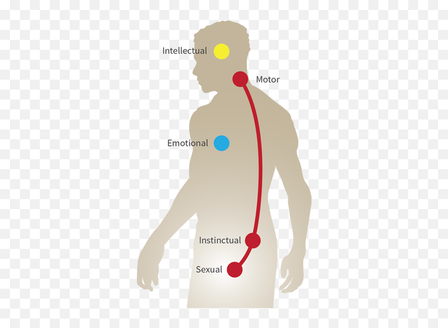 What Are The Three Brains And Five Centers - Centers Of The Human Machine Gnosis Emoji,Emotion Center Of Brain