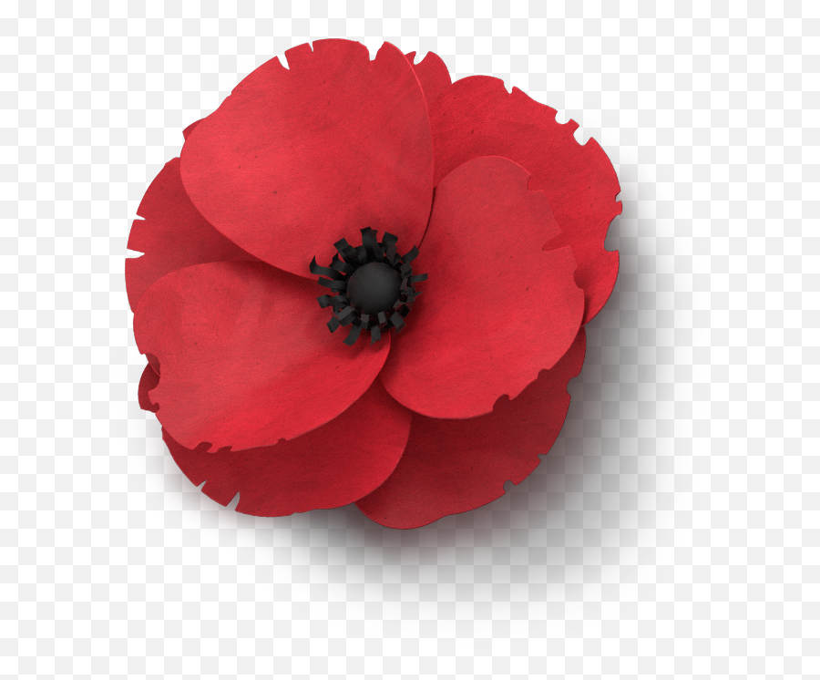 Download Poppy Flower Veterans Day - Clip Art Remembrance Clip Art Remembrance Day Poppy Emoji,Memorial Day Emoji
