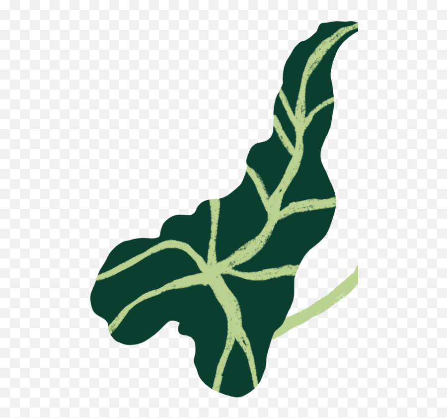 Bird Of Paradise Plant Care Guide Emoji,Leaf In Wind Emoji