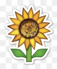 Com Emoji Photo Booth Emoji Wallpaper - Sunflower Emoji Sticker Png,Emoji Wallpaper For Boys