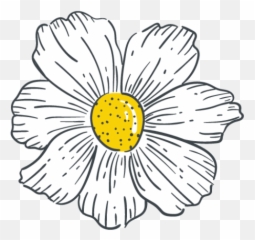 Jennifer O White - Floral Emoji,Chamoile Emotions