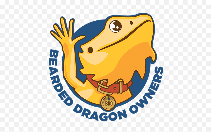 Complete Bearded Dragon Beginners - Wood Frog Emoji,Do Bearded Dragons Change Color Do To Emotion