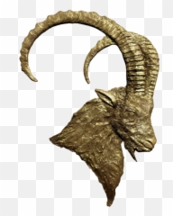 Main Landing Page U2013 Ibex Collection - Goat Emoji,Emotion In Realism Art