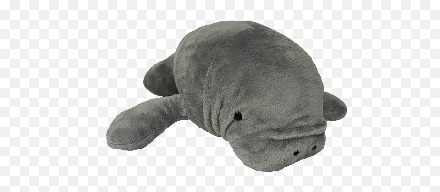 Adorable Plush Gray Manatee - Manatee Plush Png Emoji,Do Manatees Have Emotions