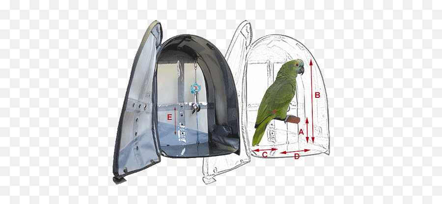 How To Choose The Right Bird Carrier - Diy Bird Travel Carrier Emoji,African Grey Sensitive Emotions