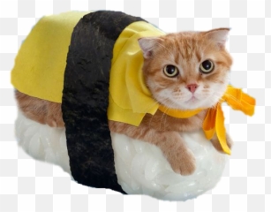 Download Catmoji Kitty Emoji Keyboard - Cute Pet Halloween Costumes,Kitty Emoji