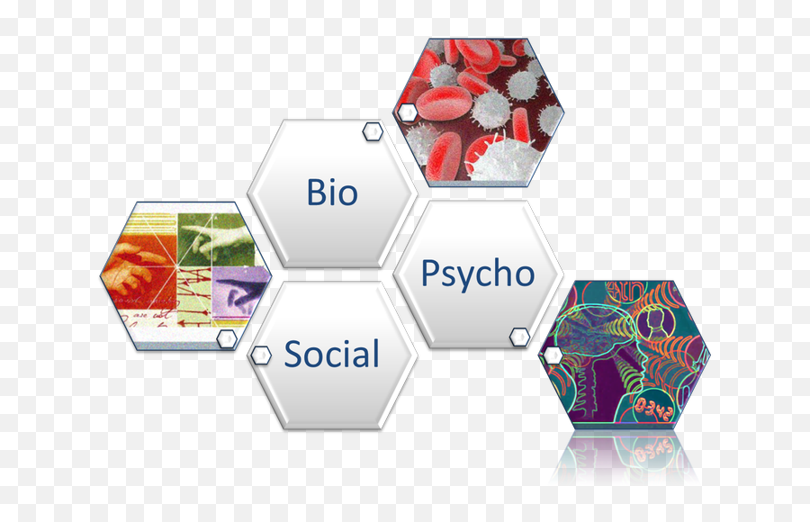 Stress U0026 Health Lab U2014 Department Of Psychological And Brain - Dot Emoji,Psychology Of Color Emotion