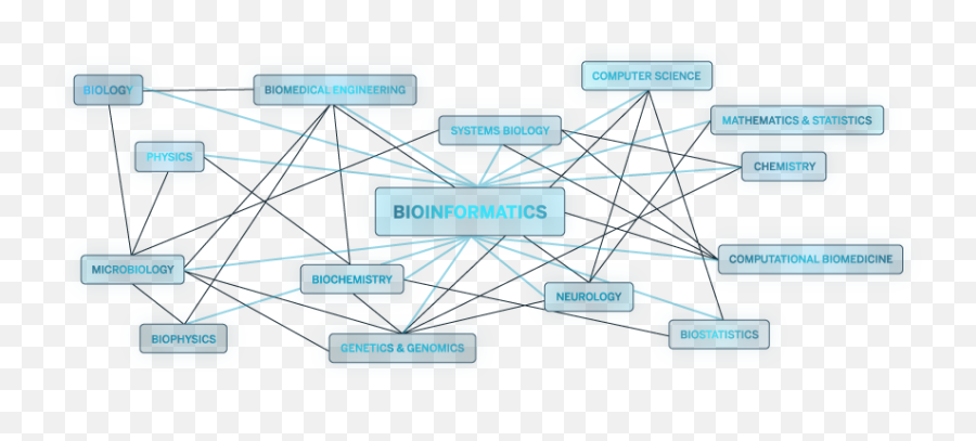 Bioinformatics Boston University Emoji,The Old Ist Emotion Of Man Is Rreu