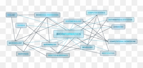 Bioinformatics Boston University Emoji,The Old Ist Emotion Of Man Is Rreu