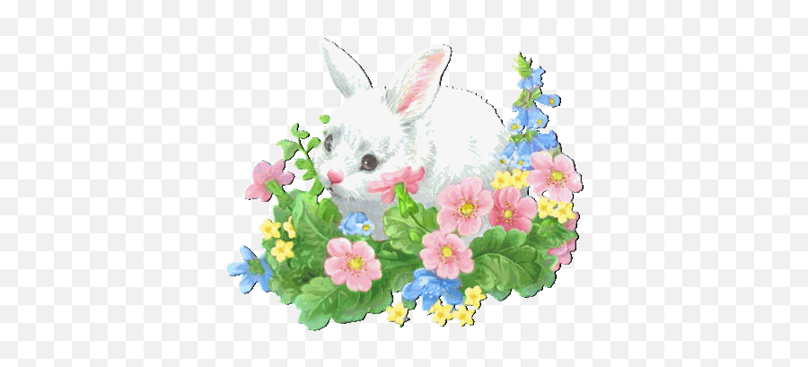 Rabbits Graphics And Animated Gifs - Imagenes De Conejos Con Movimiento Emoji,Emoticon Conejo Facebook