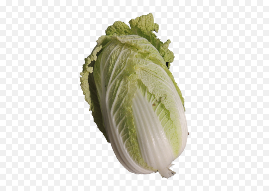 Free Lettuce Leaf Png Download Free - Superfood Emoji,Lettuce Emoji