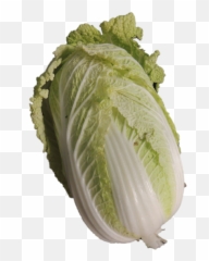 Free Lettuce Leaf Png Download Free - Superfood Emoji,Lettuce Emoji
