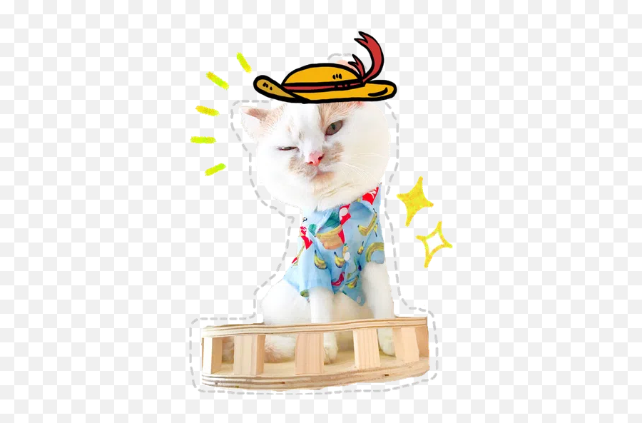 Cute Cat Sticker Pack - Stickers Cloud Emoji,Cute Cats With Emojis