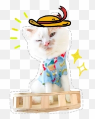 Cute Cat Sticker Pack - Stickers Cloud Emoji,Cute Cats With Emojis