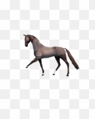 Horse Starstable Häst Sweden Sso Freetoedit - Mustang Emoji,Horse Emoji App