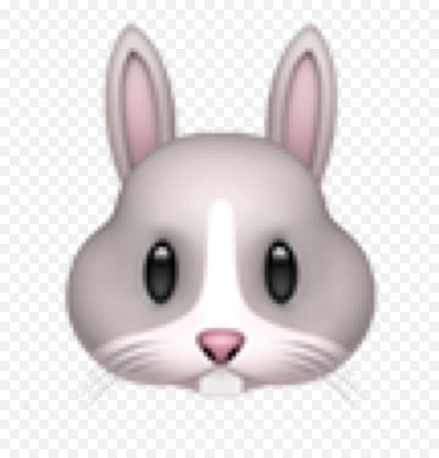 Emoji Emojis Emojiiphone Sticker - Iphone Rabbit Emoji Png,Animal Emojis Iphone