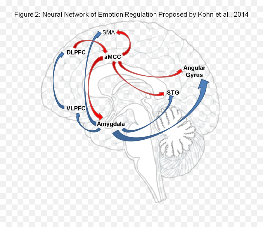 Process Model Of Emotion Regulation - Regulacion De Emociones En El Crebro Imagenes Emoji,Emotion
