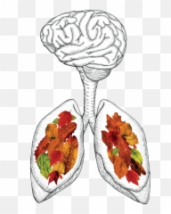 Take A Breath - Natural Foods Emoji,Emotion Brain Ancient