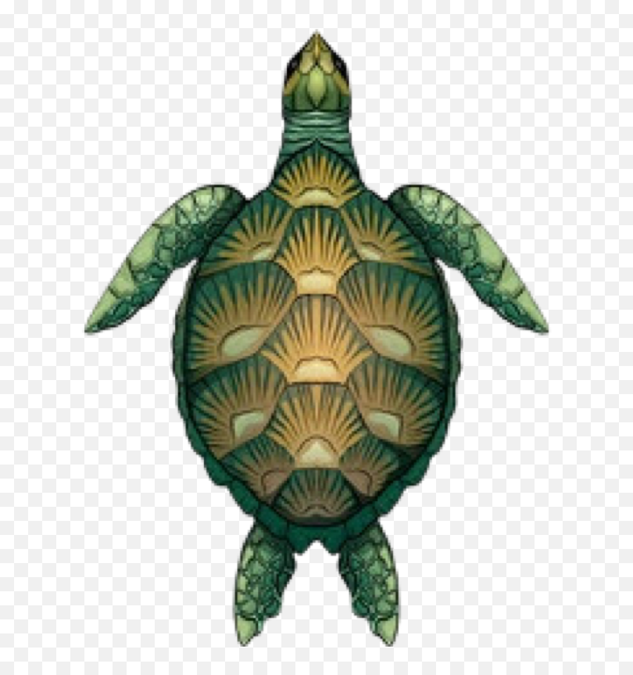 Discover Trending - Color Images Of Green Turtle Emoji,How To Make A Turtle Emoticon