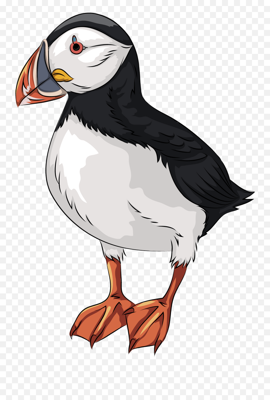 Atlantic Puffin Clipart - Atlantic Puffin Puffin Clipart Emoji,Puffin Emoji