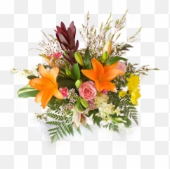 Best Florist In Hialeah Flower - Floral Emoji,Homestead Miami Speedway Glass Case Of Emotion