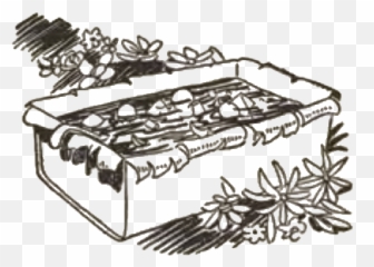 Trader Vics Book Of Food Drink - Sketch Emoji,Mixing Vodka And Emotions Party Garland