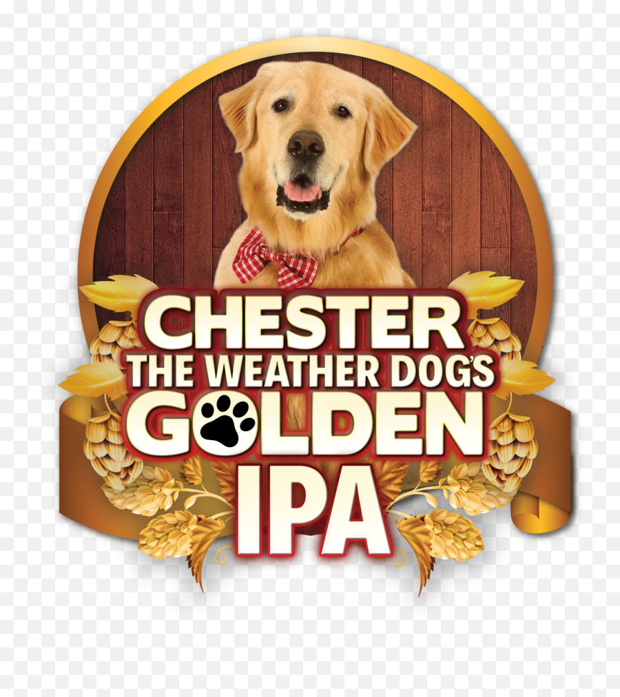 Barks And Brews At Colorado Pet Fest Lifestyle Gazettecom - Dog Supply Emoji,Send Your Friends Cute Cream Labrador Retriver Emojis