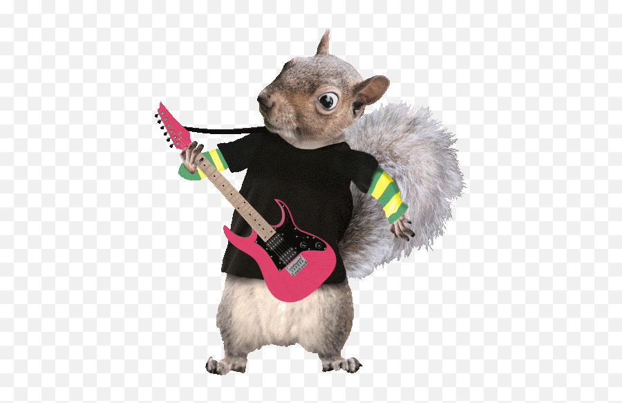 Image Animee Fun Ecureuil Qui Mange Des Noisettes - Transparent Gif Squirrel Guitar Emoji,Rock Girl Guitar Emoticon Facebook
