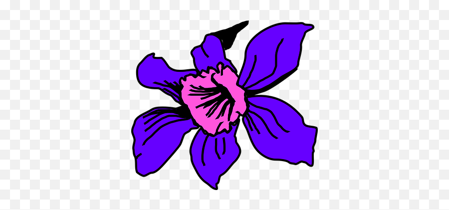 100 Free Pink Plant U0026 Flower Vectors - Pixabay Orquidea De Colombia Para Dibujar Emoji,Violet Flower Emoji