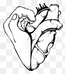 About Us - Hand Of The Heart Massage Emoji,Images Emotions Body Mind The Heart Illustrations
