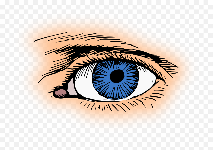 Eye Color Iris Pupil Visual Perception Clipart - Full Size Eye Clip Art Emoji,Iris Emoji