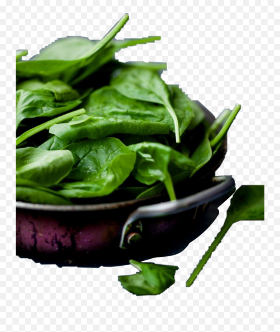 Spinach Sticker - Spinach Emoji,Spinach Emoji