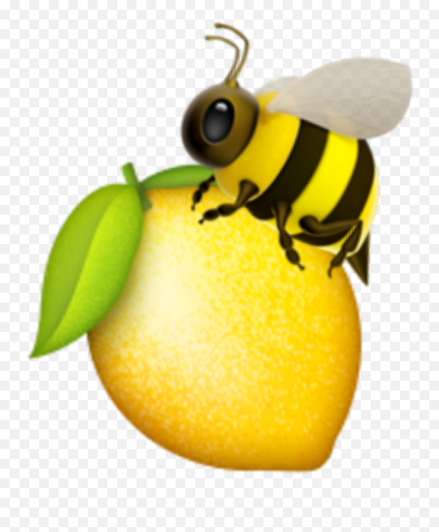 Queenbee Beyoncé Beyday Bee Sticker - Emoji Citron,Lemon And Bee Emojis