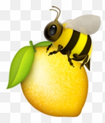 Queenbee Beyoncé Beyday Bee Sticker - Emoji Citron,Lemon And Bee Emojis