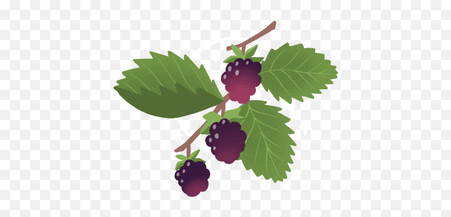 Via Giphy Fall Fruits Giphy Plant Leaves - Fresh Emoji,Emoticon For Listless