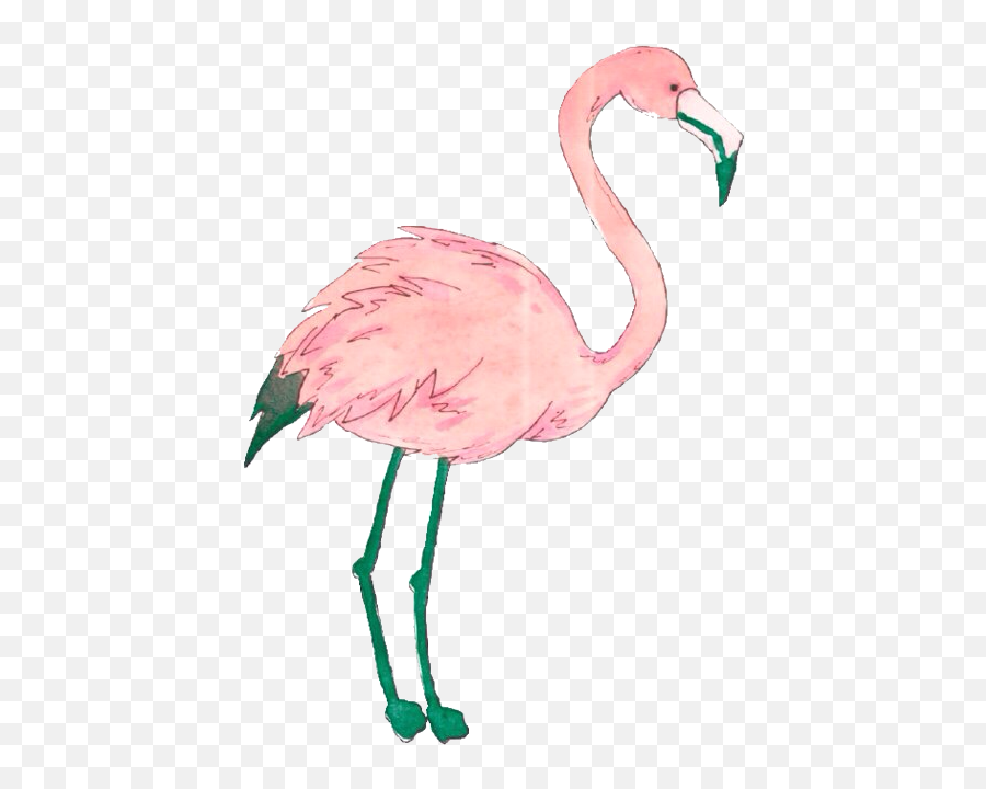 Flamingo Png Gif Emoji,Flamingo Emojis Android