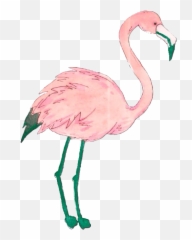 Flamingo Png Gif Emoji,Flamingo Emojis Android