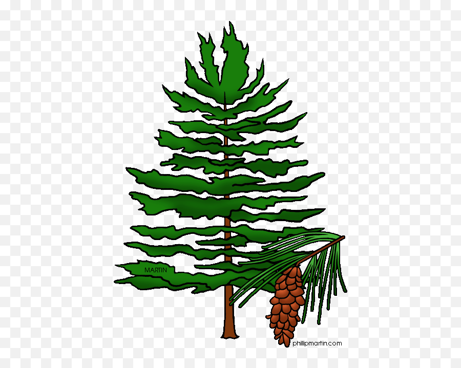Clipart Trees Pine Clipart Trees Pine Transparent Free For - North Carolina State Tree Emoji,Pine Tree Emoji