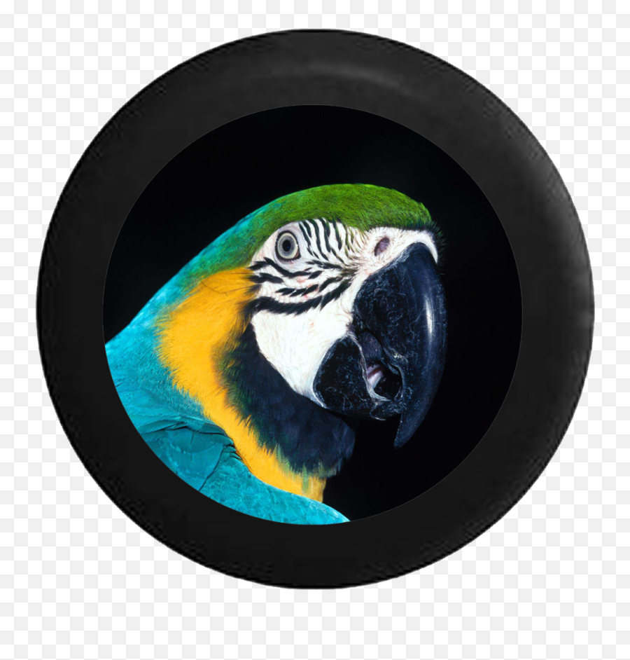 Standard Animal Tire Covers U2013 Page 2 U2013 Tirecoverpro - Parrots Emoji,Parakeet Emoji