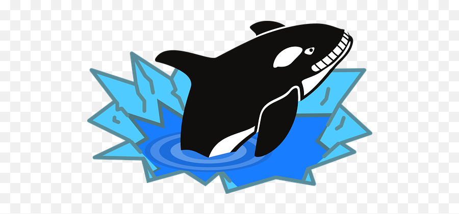 Free Orca Whale Vectors - Evil Orca Cartoon Emoji,Orcas Brain Emotions