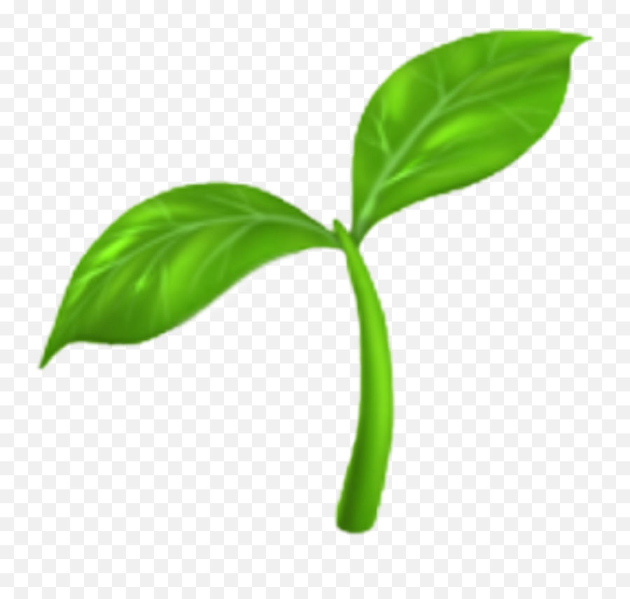 Emoji Emojisticker Sprout - Seedling Emoji Transparent Plant Emoji,Amen Emoji