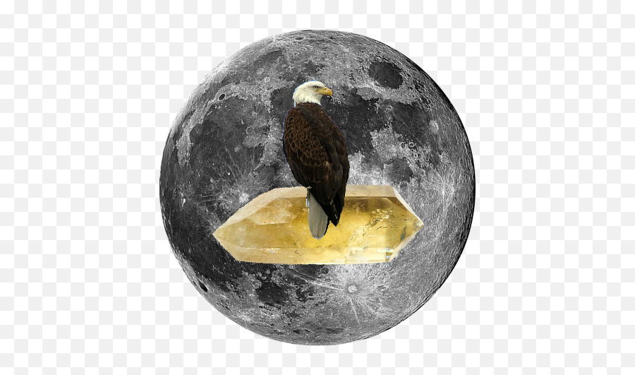 Full Pink Moon In Scorpio April 29th - Realistic Moon Drawing Tattoo Emoji,The Emotions Of Eagles
